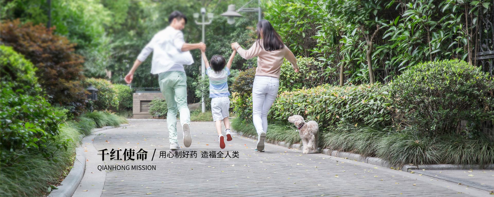 CA88使命